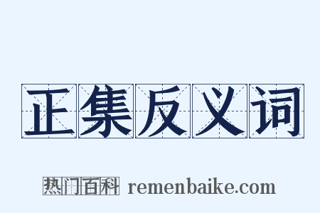 正集反义词是什么意思的图片